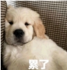 微信截图_20240229161434.png