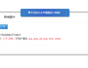 图片设置上传限制大小，这个要怎么设置啊