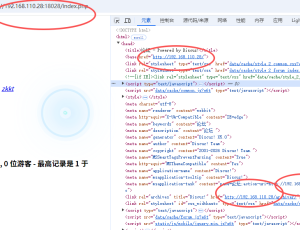 本地最新版X5不以默认端口安装后，界面加载不正常，如图显示，F12中部分代码未加端口号