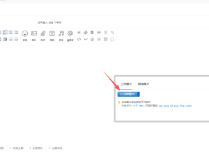 发布图片，或者附件，上传框怎么这样，有知道吗