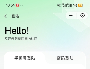 DZSNS社交圈子系统开发汇报：新增H5端，小程序端，APP端微信登录