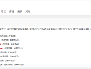 可以强化一下SEO全局变量自定义功能吗？