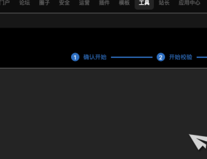 后台-文件校验后-校验结果-什么也不显示