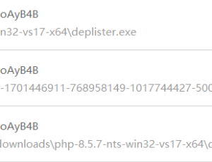 安装discuz 会要安装php及其组建，其他人会遇到下载的文件安装时解压的文件老被360认为有病毒吗