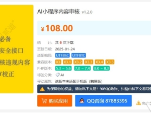 找这个插件开发商