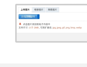 有大佬知道这个上传按钮是怎么回事吗？