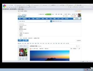 Discuz 论坛SEO设置项的作用讲解