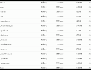 网站css太大了，废弃css，废旧css，未使用css太多了，导致网站加载非常卡。怎么优化？